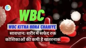 WBC in Hindi WBC कितने प्रकार के होते हैं हिंदी में