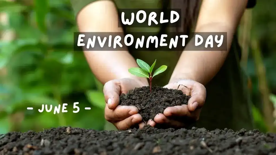 विश्व पर्यावरण दिवस निबंध | पर्यावरण दिवस कब मनाया जाता है
